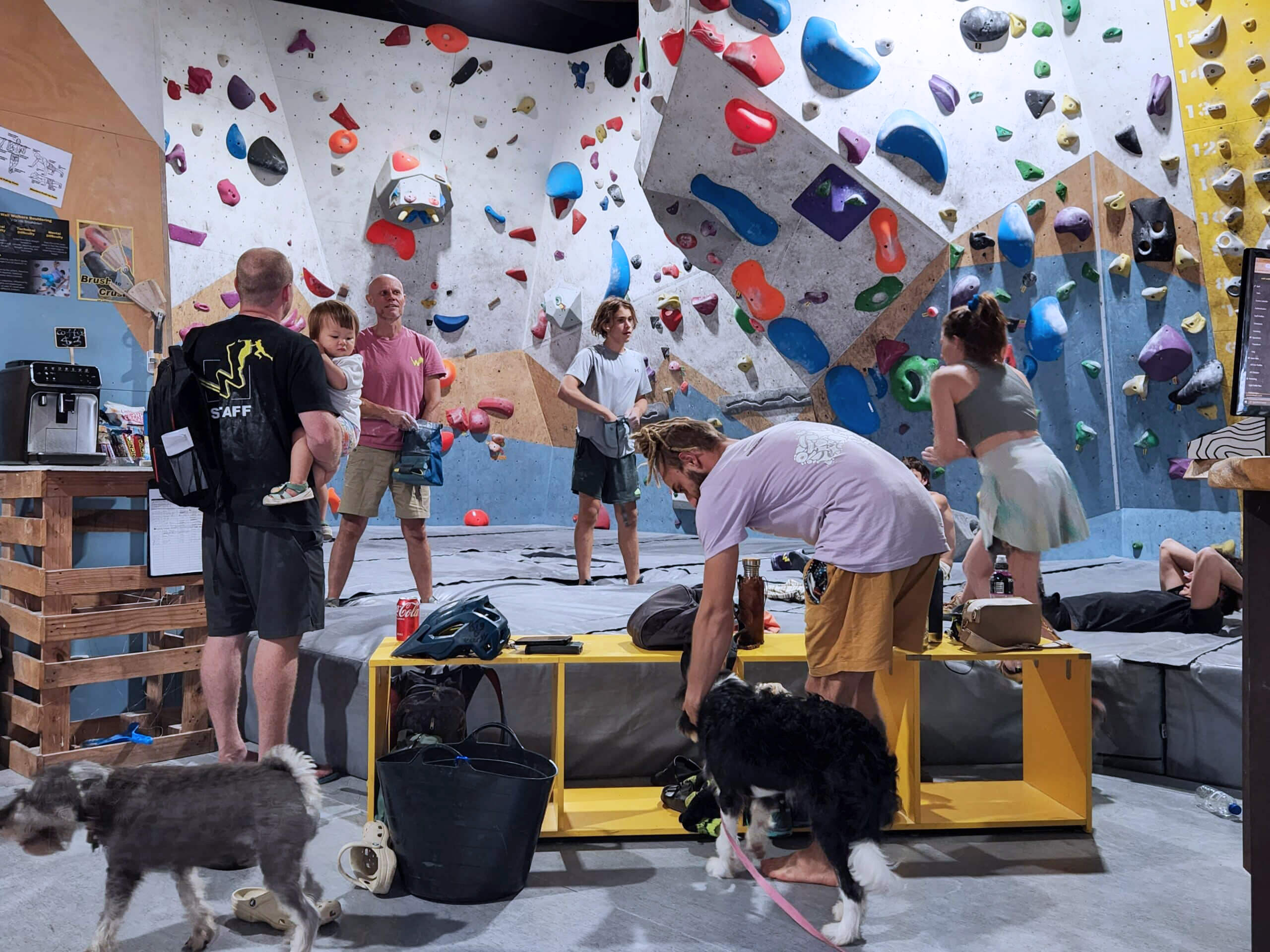Wall Walkers Bouldering community inside the gym